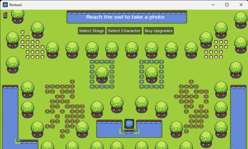Forest Level